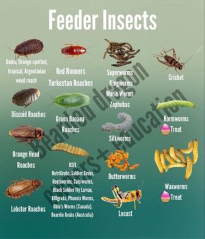 9 Lives Seafood & Poultry Favorites Variety Pack Canned Cat Food, 5.5-oz, case of 24